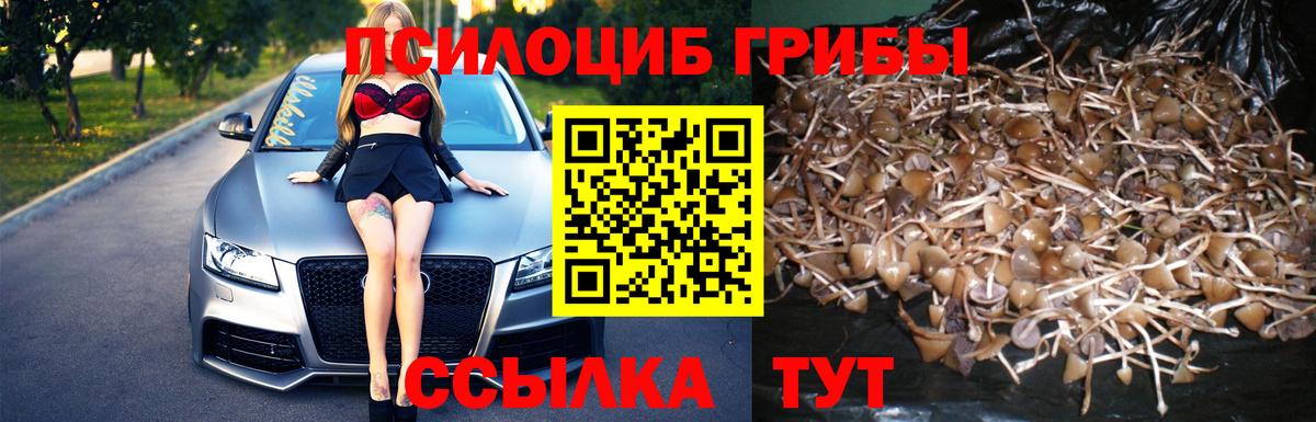 Псилоцибиновые грибы прущие грибы  Вход с VPN  где купить наркотик  Зеленокумск 